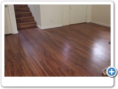 IVC Koa