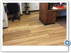 Karndean Longboard Lemon-spotted Gum