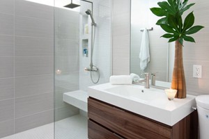 BATHROOM - ANATOLIA ZERA ANNEX SILVER 12X24
